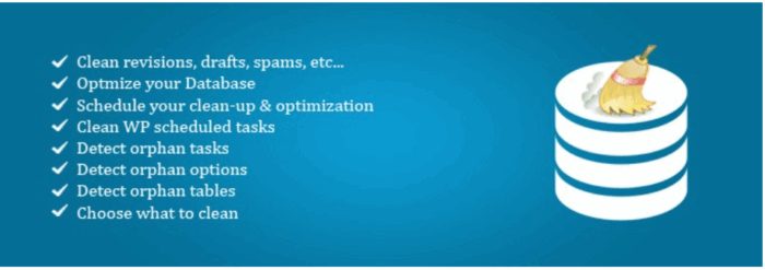 Advanced Database Cleaner Premium WordPress Plugin with original license key