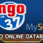 Bingo mysql database html5 gplpixel.jpg
