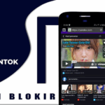 Blekok proxy browser unblock sites with facebook biding ads codermarket.png
