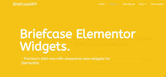 Briefcase Elementor Widgets and BriefcaseWP Extras