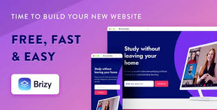 Brizy Pro - Wordpress Builder Plugin