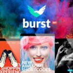 Burst creative design agency wordpress theme v35 gplpixel.jpeg