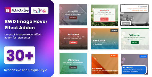 BWD Image Hover Effect for elementor