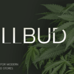 Chillbud medical marijuana and cannabis theme gplpixel.png