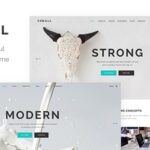 Conall clean multipurpose theme v24 gplpixel.jpeg
