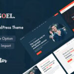 Consoel consulting business wordpress theme v102 gplpixel.jpg