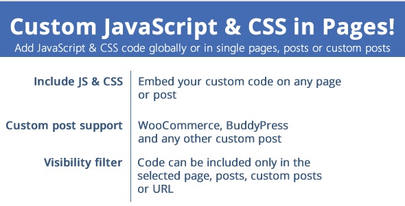 Custom JavaScript & CSS