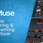 Digimuse music streaming platform codermarket.png