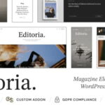 Editoria newspaper magazine wordpress theme gplpixel.jpg