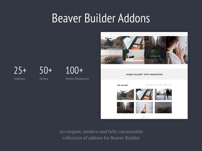 Livemeshs for Beaver Builder Pro