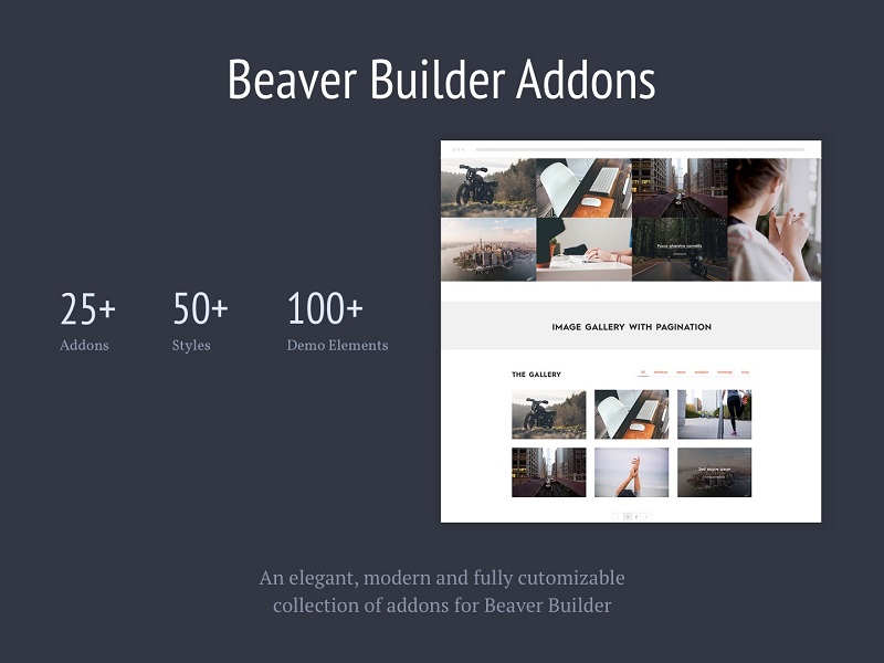 Livemeshs for Beaver Builder Pro