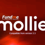 Mollie payment gateway for fundme codermarket.png