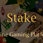 Stake online casino gaming platform laravel single page application pwa.png