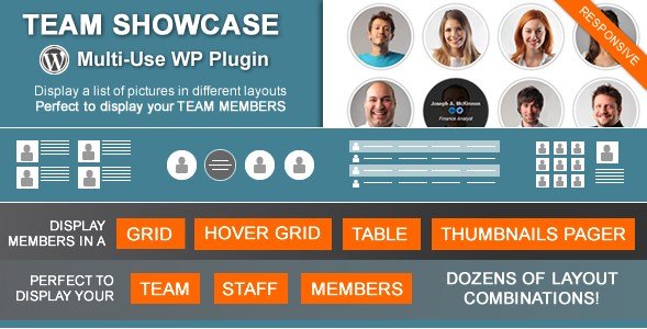 Team Portfolio- WP Plugin v