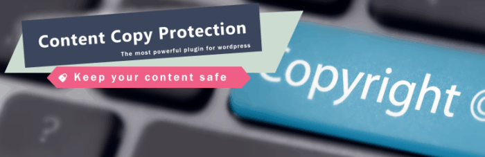 WP Content Copy Protection & No Right Click (PRO)